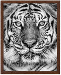 Poster Master Tiger Print by PosterMaster