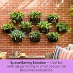 LaLaGreen Wall Planter Black Oval Metal Hanging Decor Plant Holder Indoor Wall - Image 7