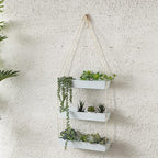 LaLaGreen Hanging Wall Planter - Image 8