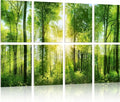 YPY Sound Proofing Panels for Walls: 8 Pack 48"x32" Decorative Art Acoustic by YPY