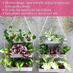 LaLaGreen Hanging Wall Planter - Image 5