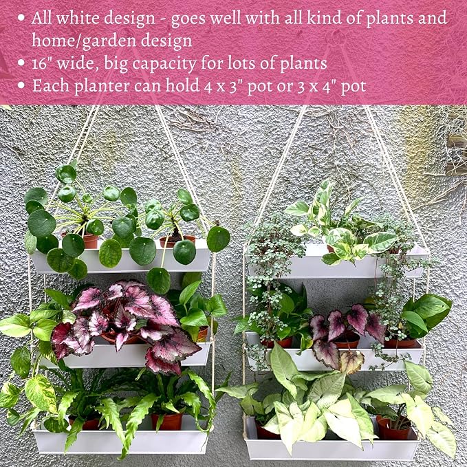 LaLaGreen Hanging Wall Planter - Image 5