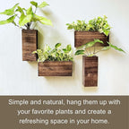 LaLaGreen Wood Planter Box for Plants Wooden Hanging Wall Planters for Indoor - Image 4