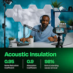 Acoustic Panels - Image 3
