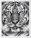 Poster Master Vintage Tiger Face Print by PosterMaster