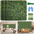 Artificial Grass Wall Panel Screen: 10"x10" 12P UV-Anti Faux Boxwood Panels by BHXCL