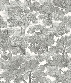 Chesapeake Black Spinney Toile Wallpaper, Strippable, 20.5 in x 33 ft by Chesapeake
